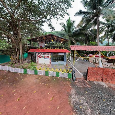 Hotel The Exotica Agonda Exteriér fotografie
