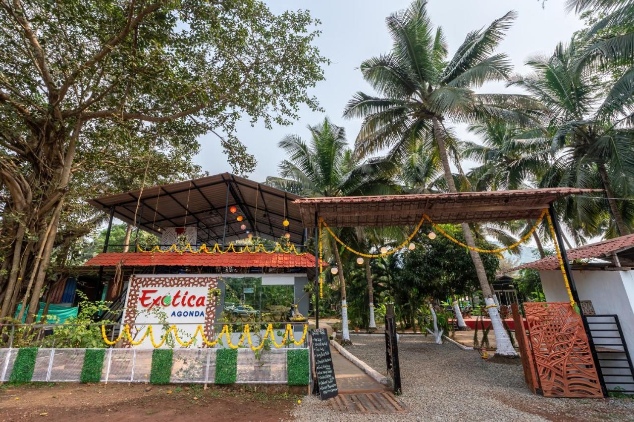 Hotel The Exotica Agonda Exteriér fotografie