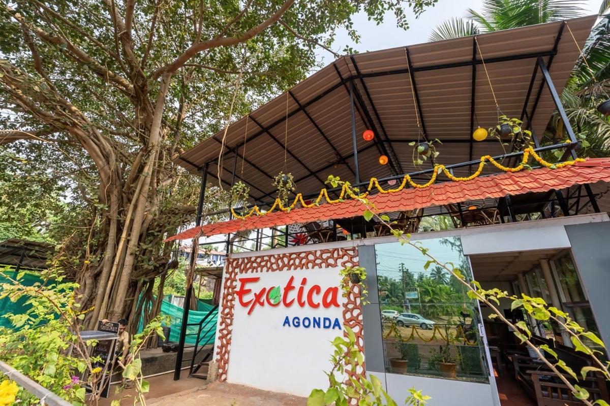 Hotel The Exotica Agonda Exteriér fotografie