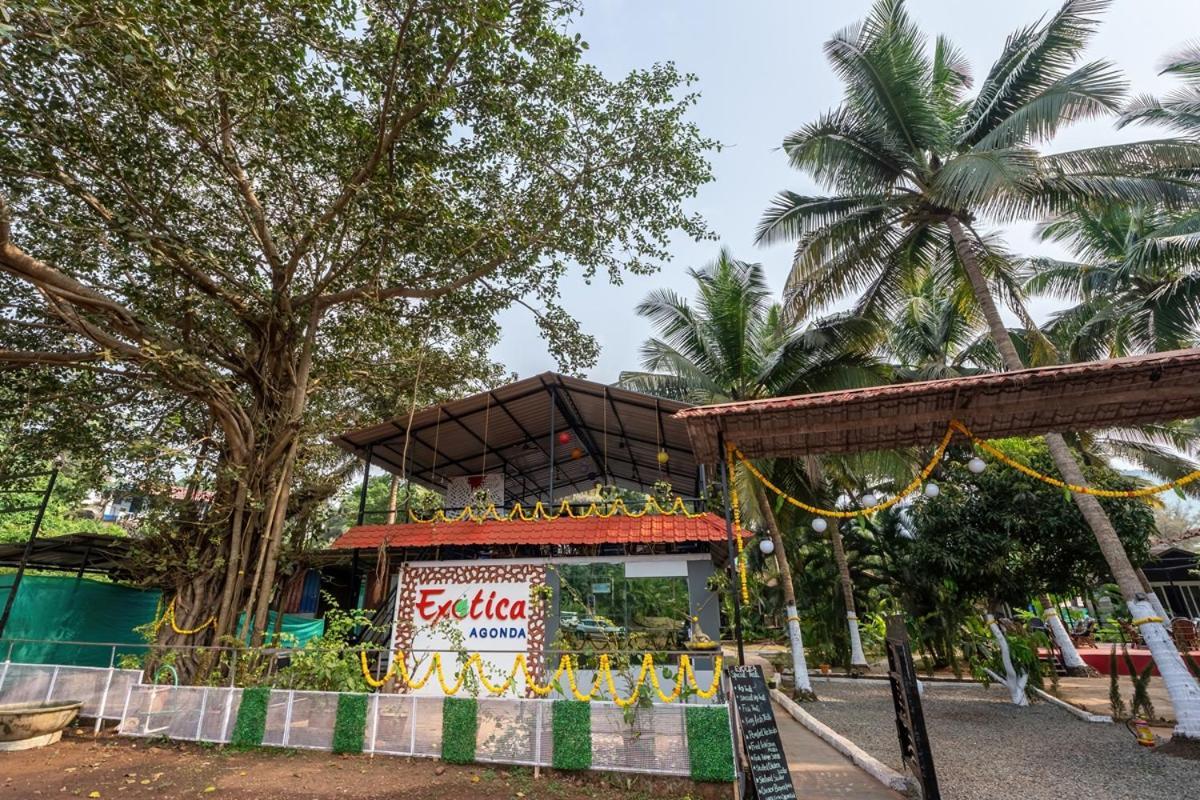 Hotel The Exotica Agonda Exteriér fotografie